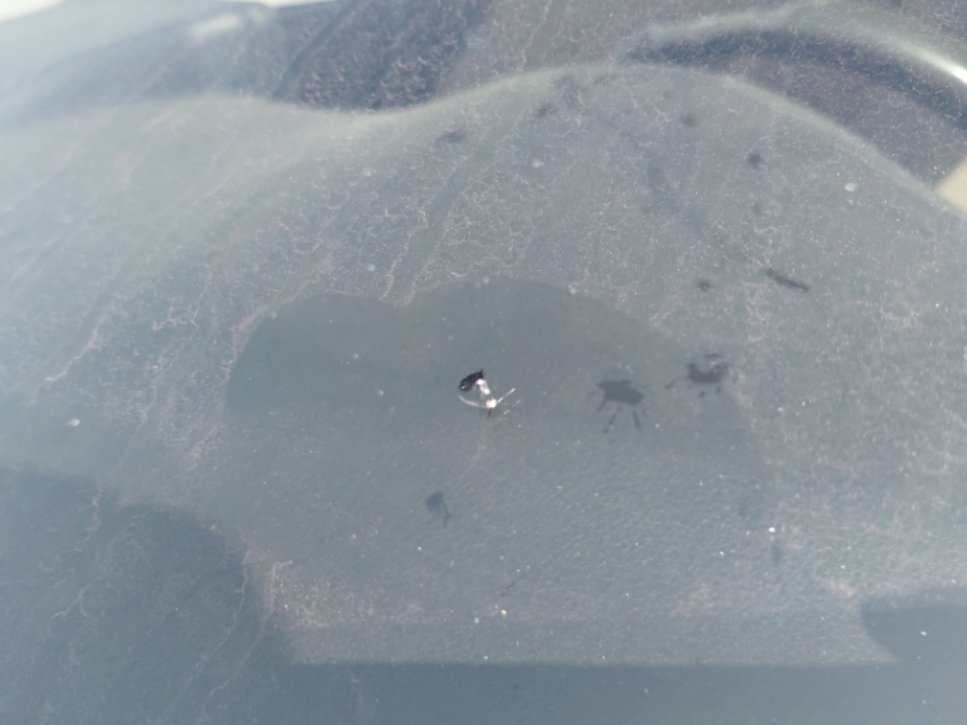 تويوتا يارس Y PLUS  2023 image