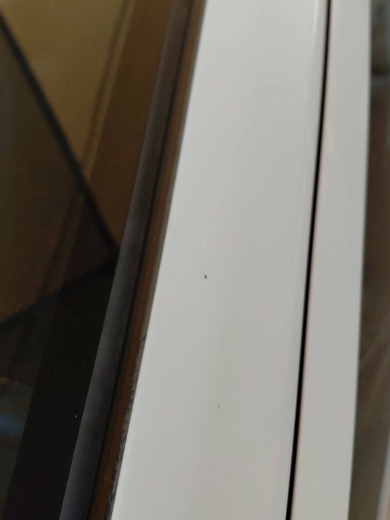 تويوتا راش  STD SPORT 2023 image