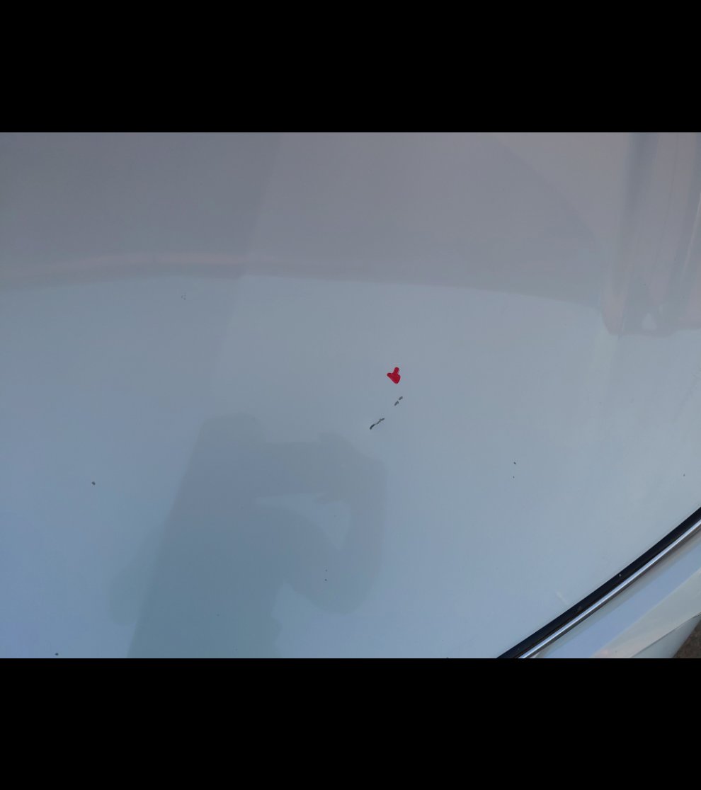 تويوتا كورولا XLI EXECUTIVE M/R 2024 image