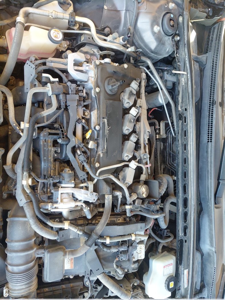 تويوتا كامري LE HEV 2019 image