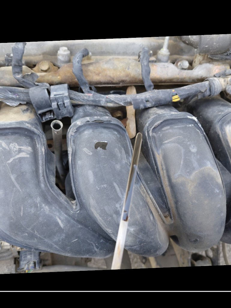 تويوتا كورولا  2010 image