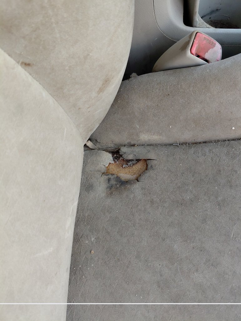 تويوتا كورولا  2010 image