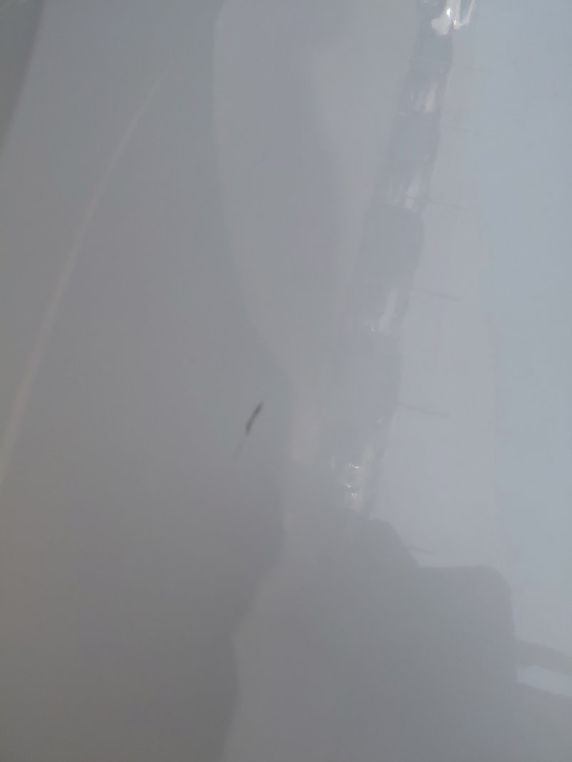 تويوتا انوفا GL 2022 image