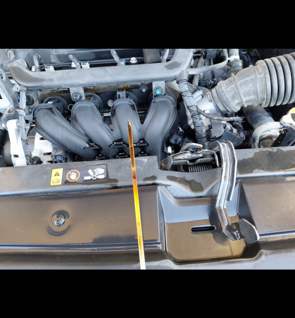 هيونداي أكسنت STD 2021 image