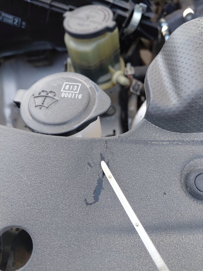 تويوتا لاندكروزر برادو  2022 image