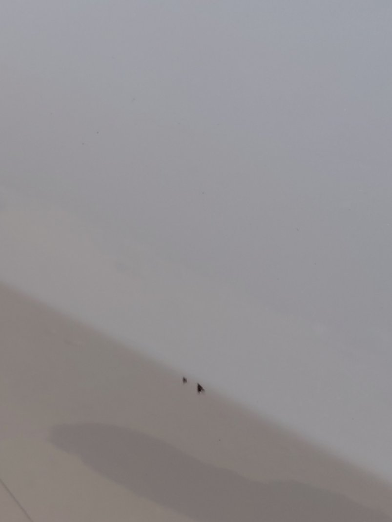 كيا سبورتاج  LX 4WD  2022 image