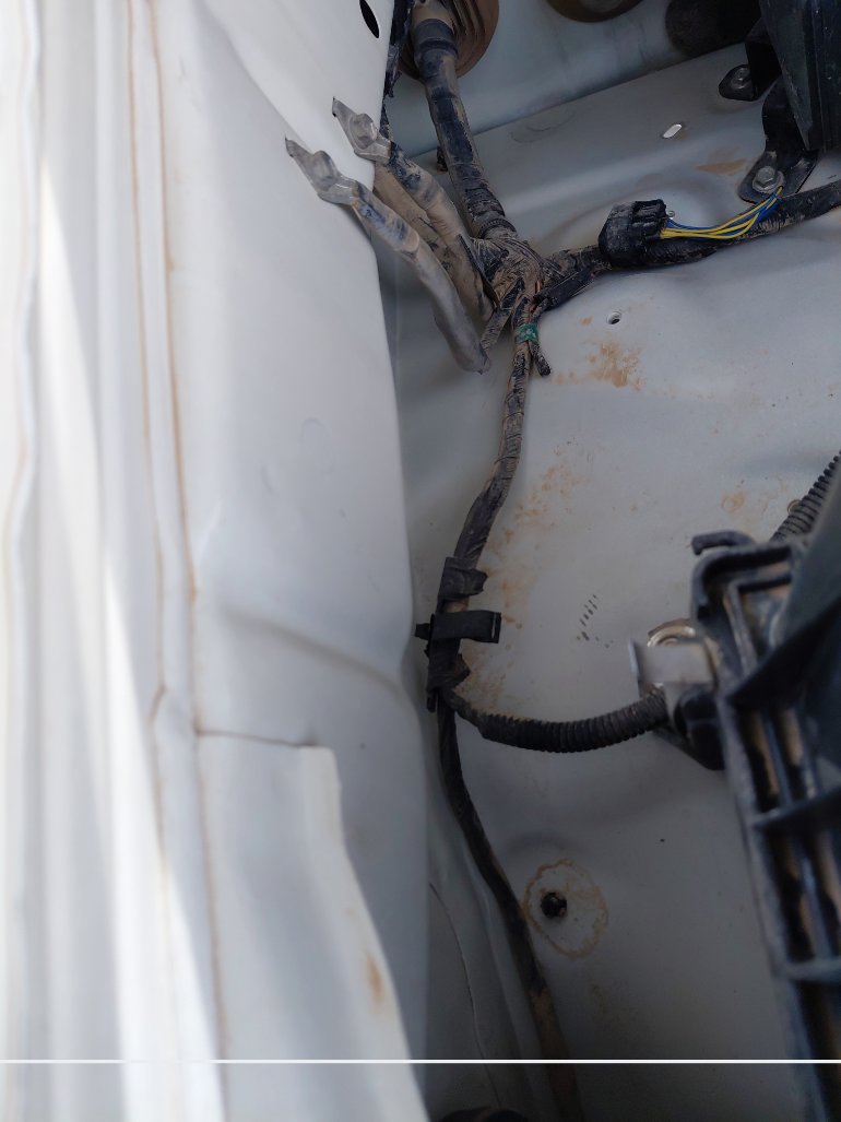 ايسوزو ديماكس  2020 image