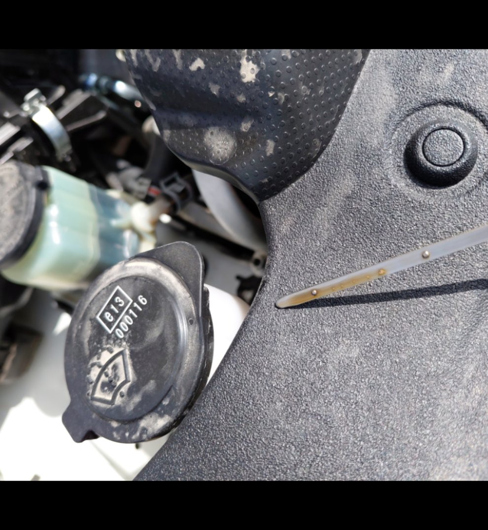 تويوتا لاندكروزر برادو  2022 image