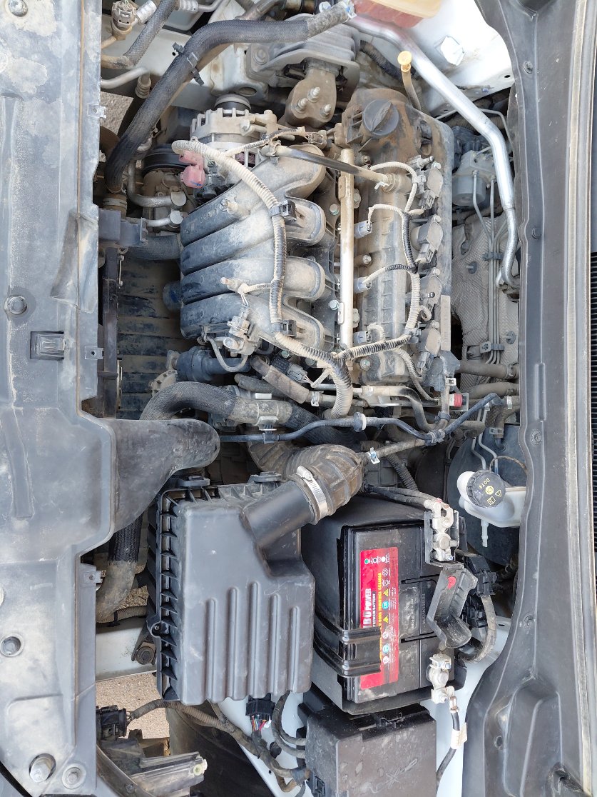 بايك D50  2024 image