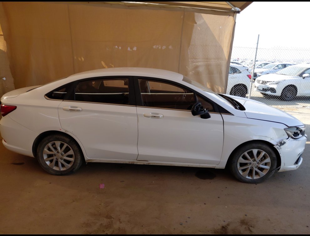 بايك D50  2024 image