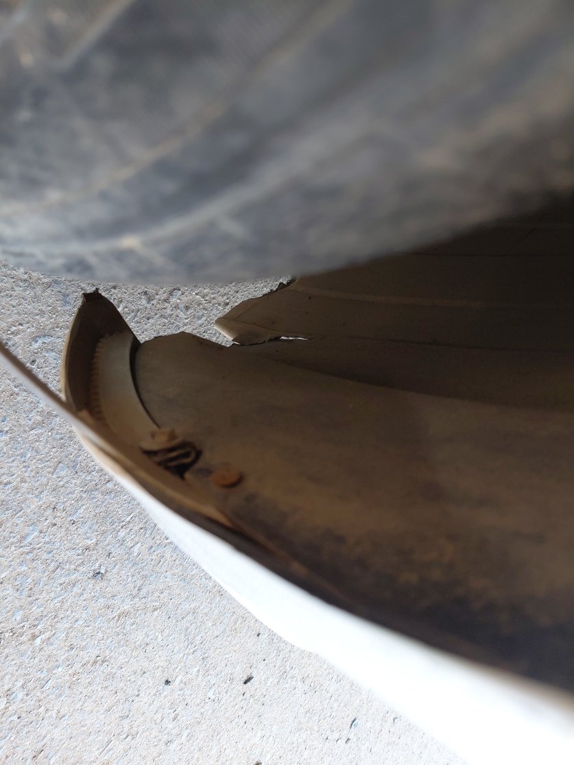 بايك D50  2024 image