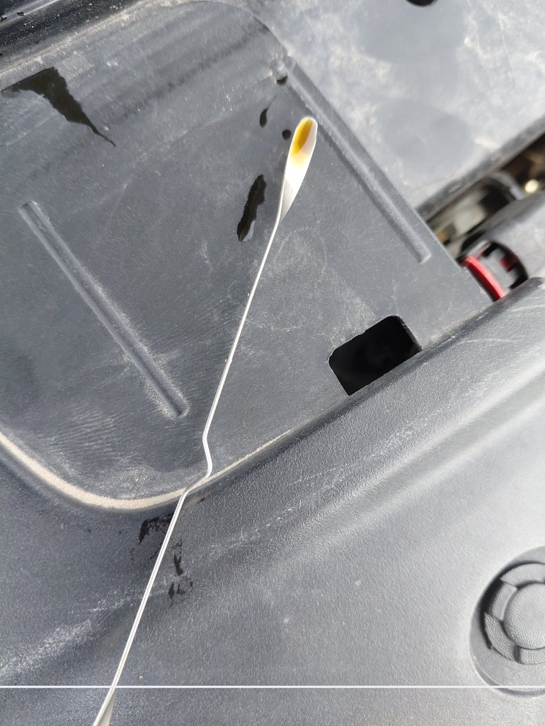 دودج تشارجر  2021 image