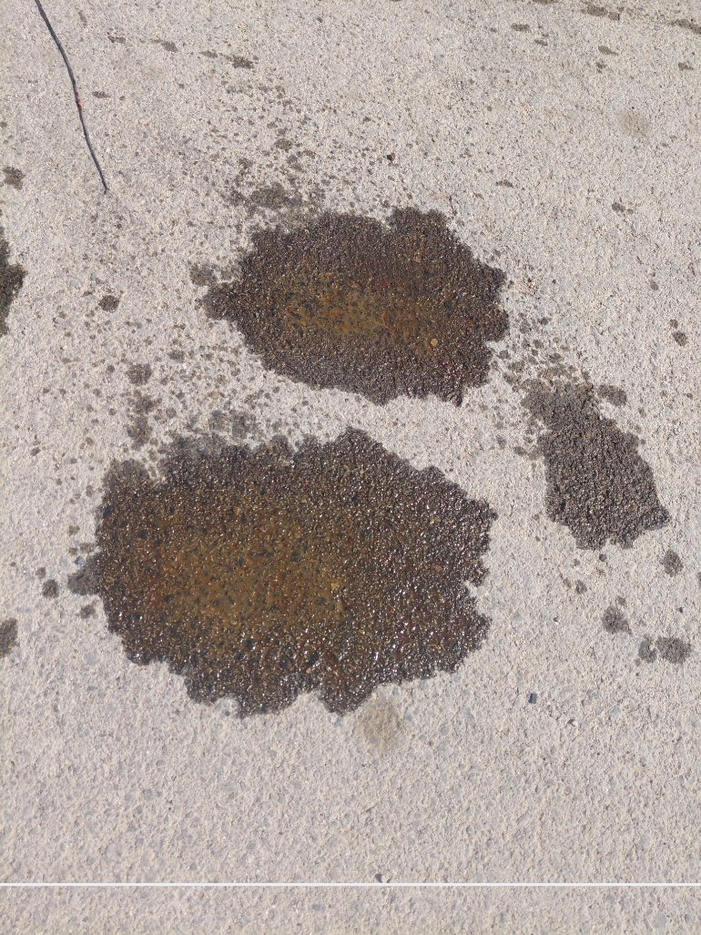 دودج تشارجر  2021 image