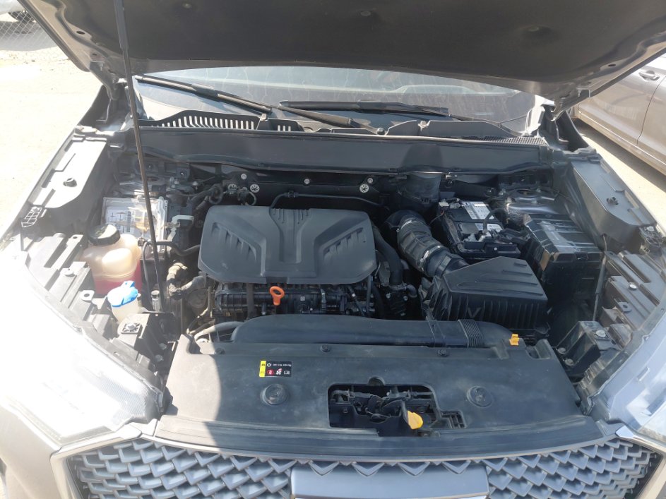 هافال H6 بريميم رياضية 2023 image