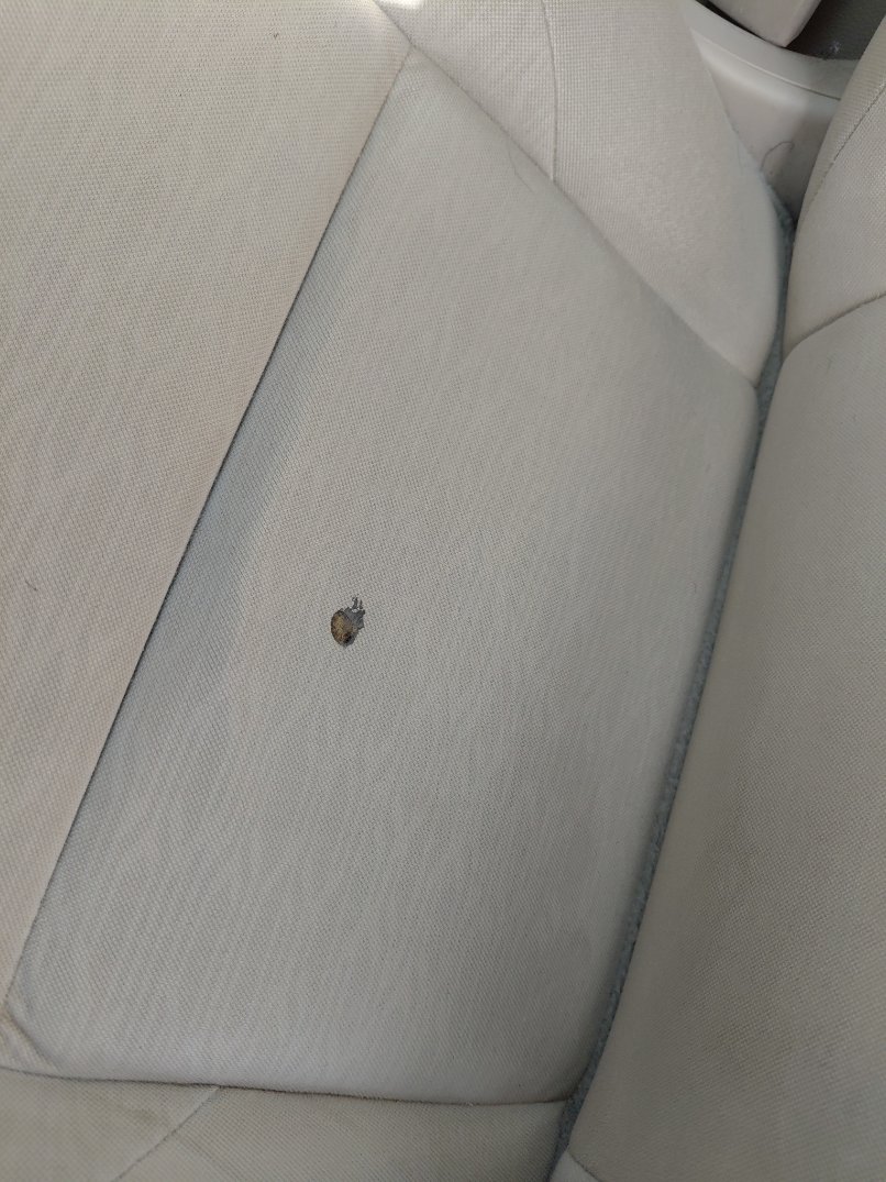 دودج دورانجو  2022 image