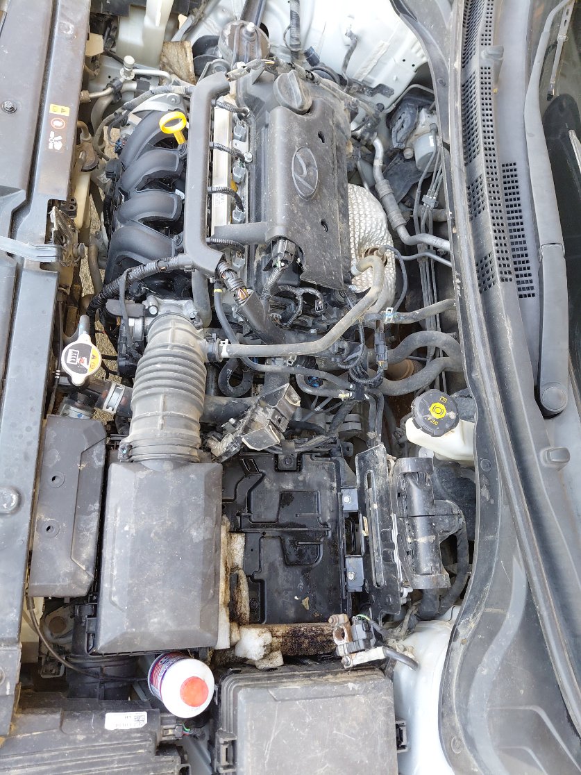 هيونداي أكسنت STD  2021 image