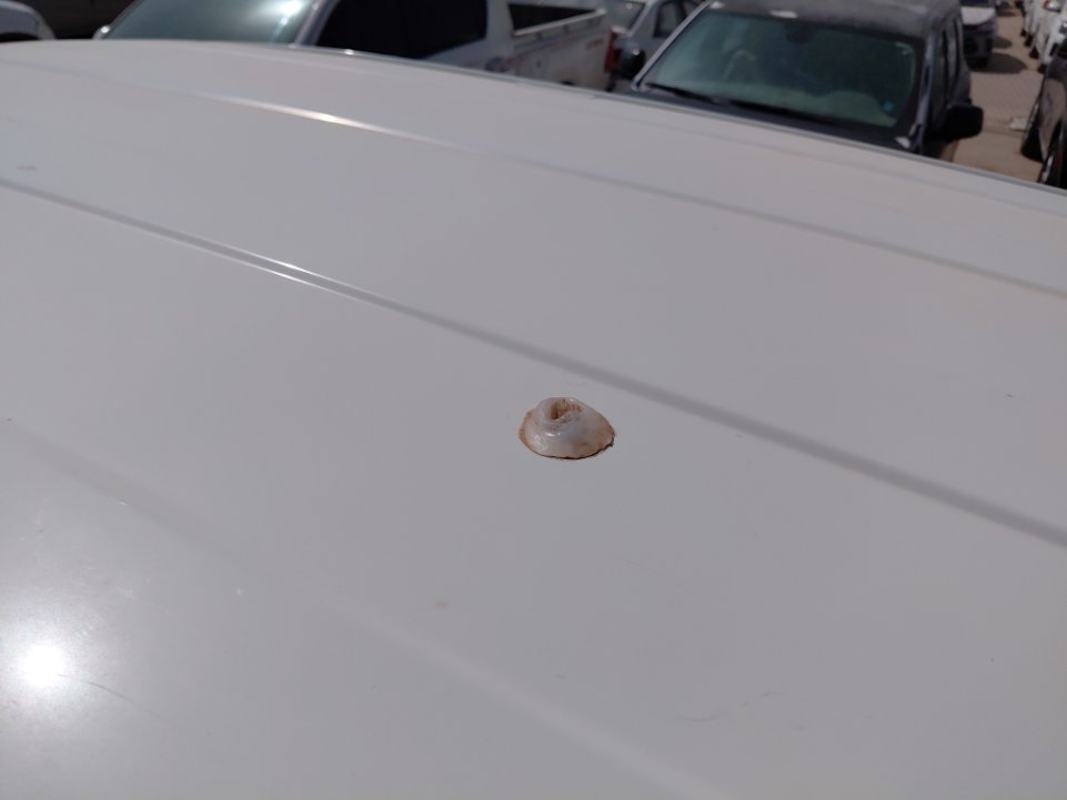 تويوتا إف جي كروزر  2022 image