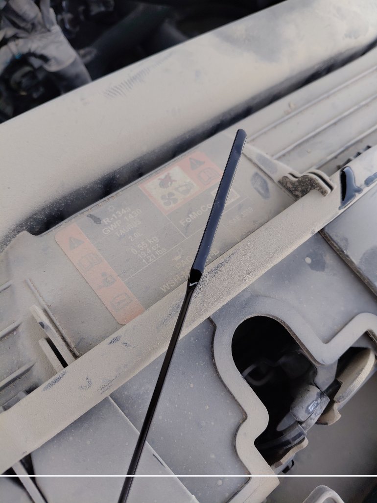 فورد توروس  2023 image