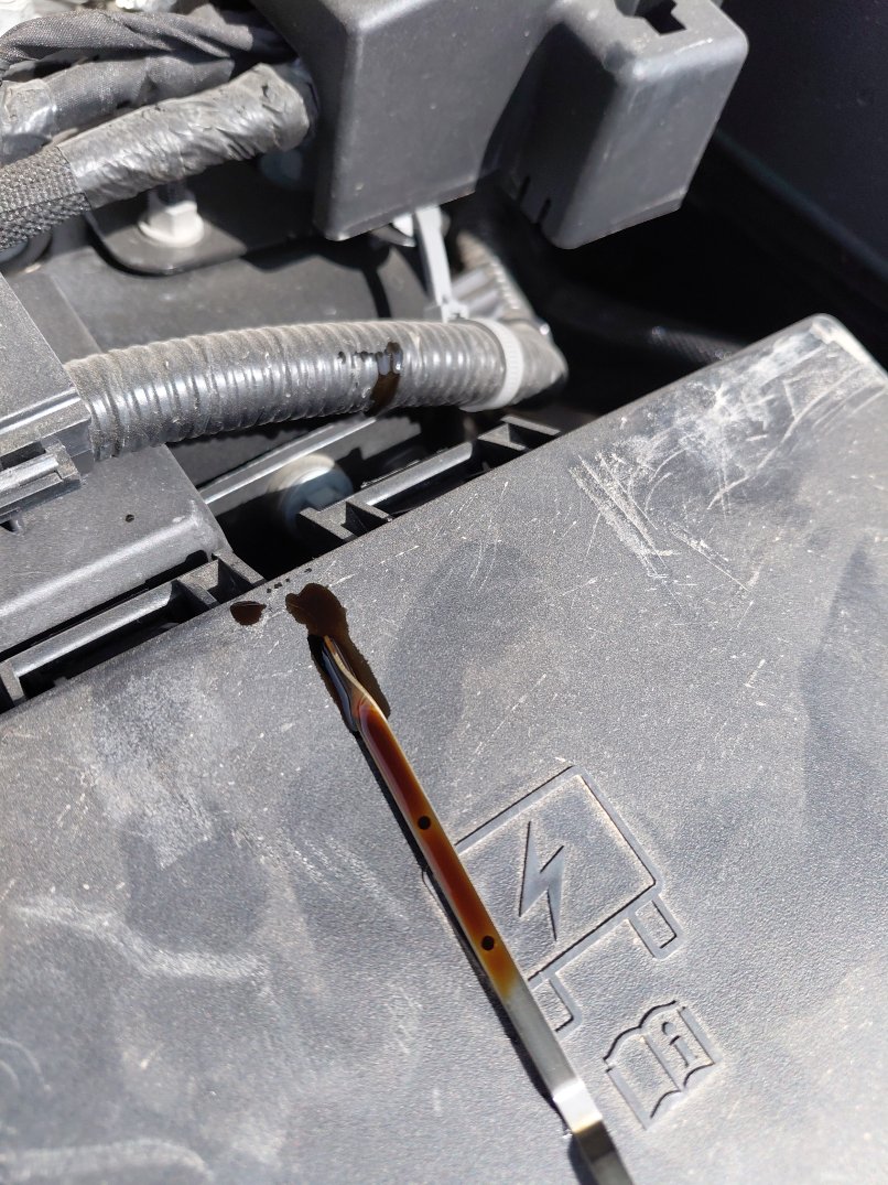 دودج دورانجو  2022 image