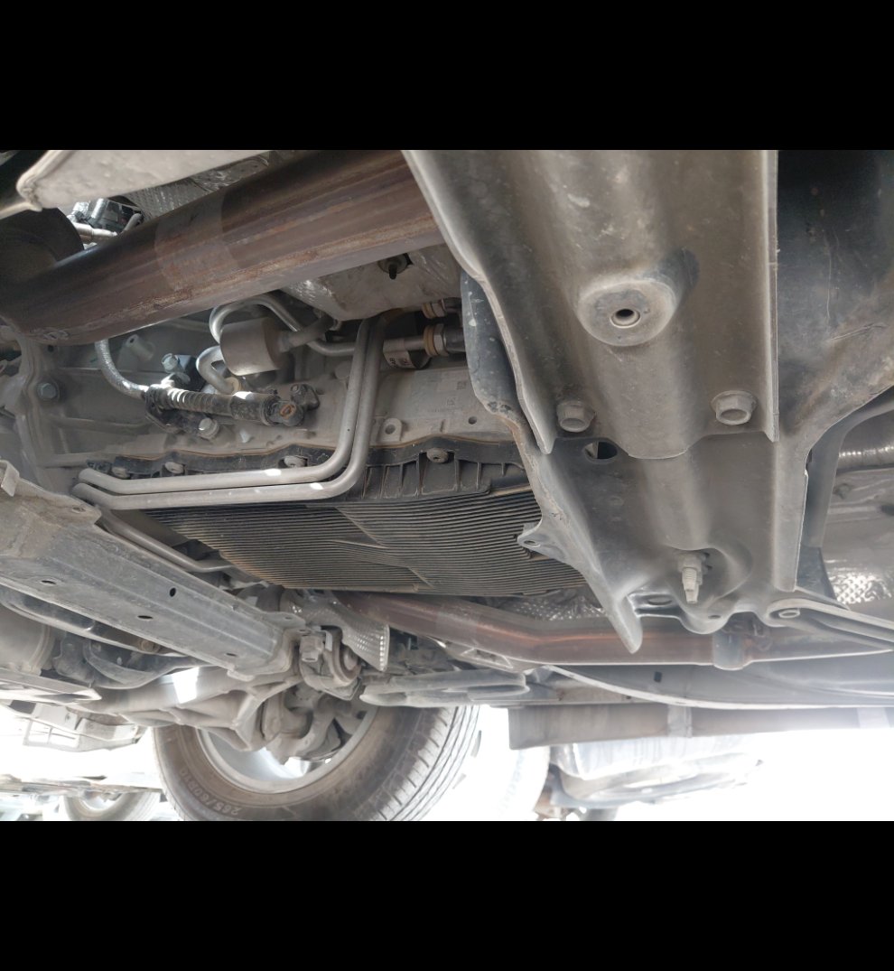 دودج دورانجو  2022 image