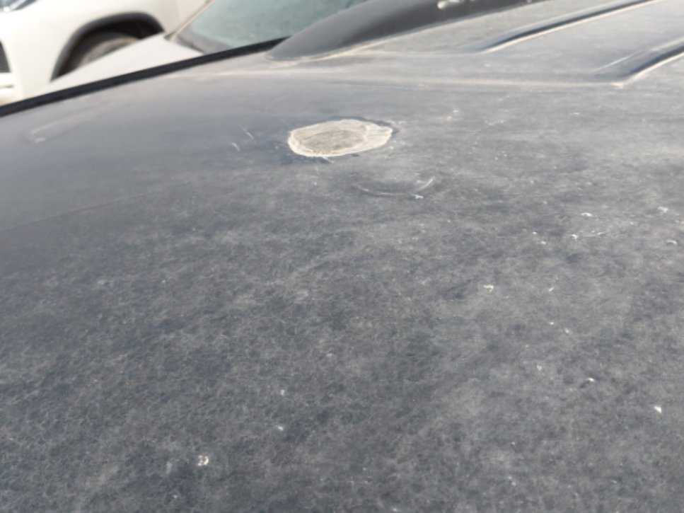 دودج دورانجو  2022 image