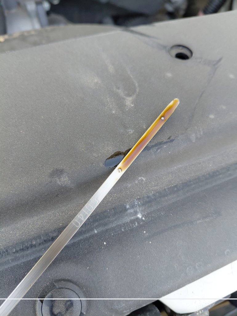 تويوتا إف جي كروزر  2022 image