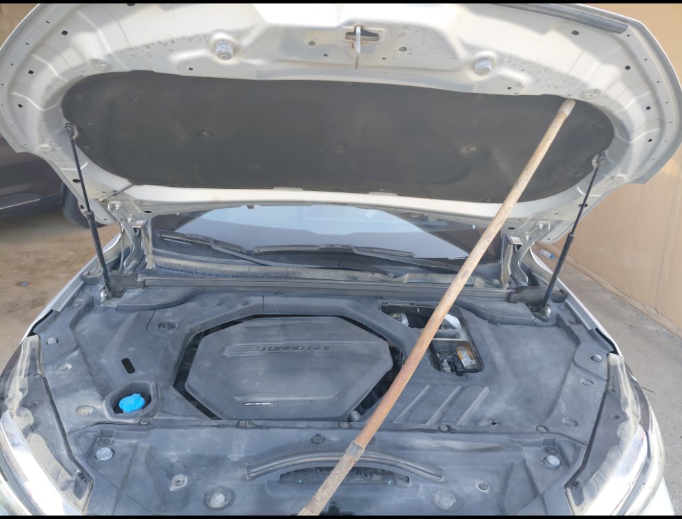 بايك اكس 7  2023 image