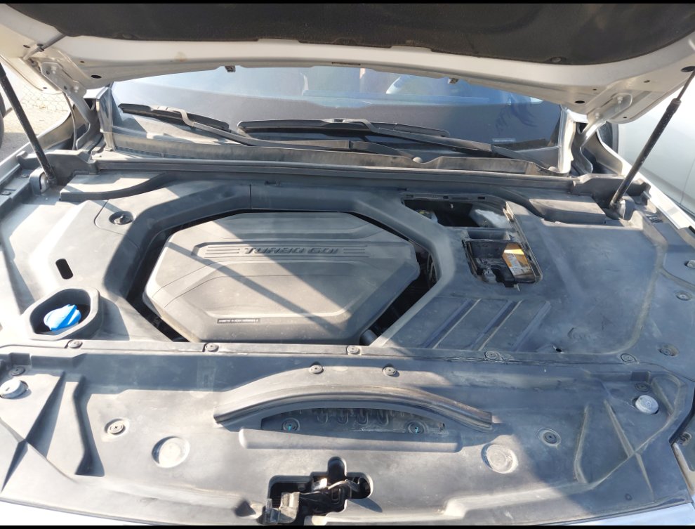 بايك اكس 7  2023 image