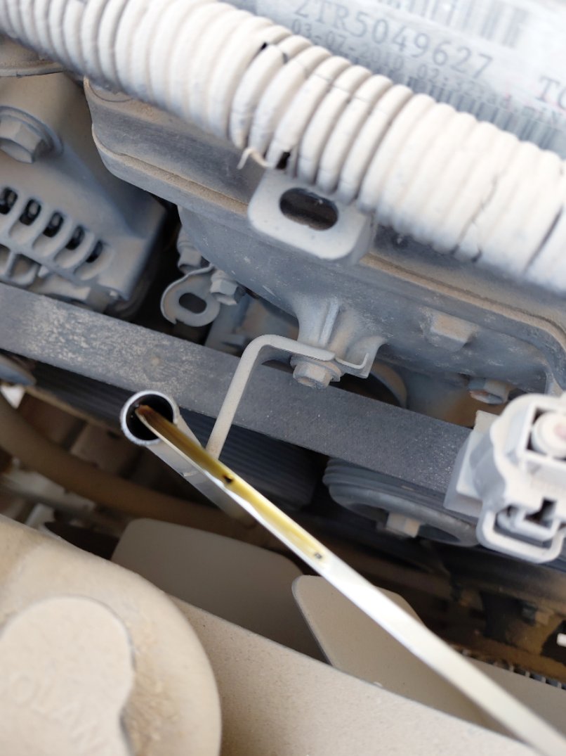 تويوتا هايلكس  2010 image