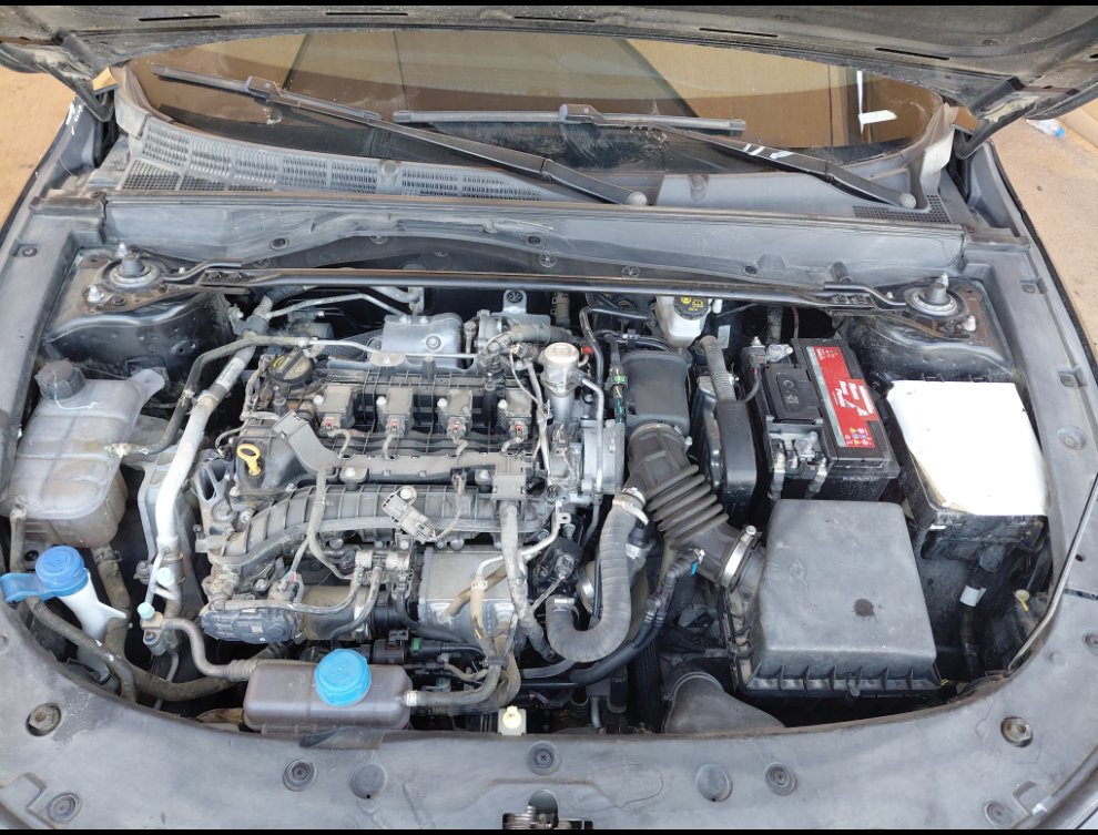 شانجان يو ني في لوكس رياضيه  2024 image