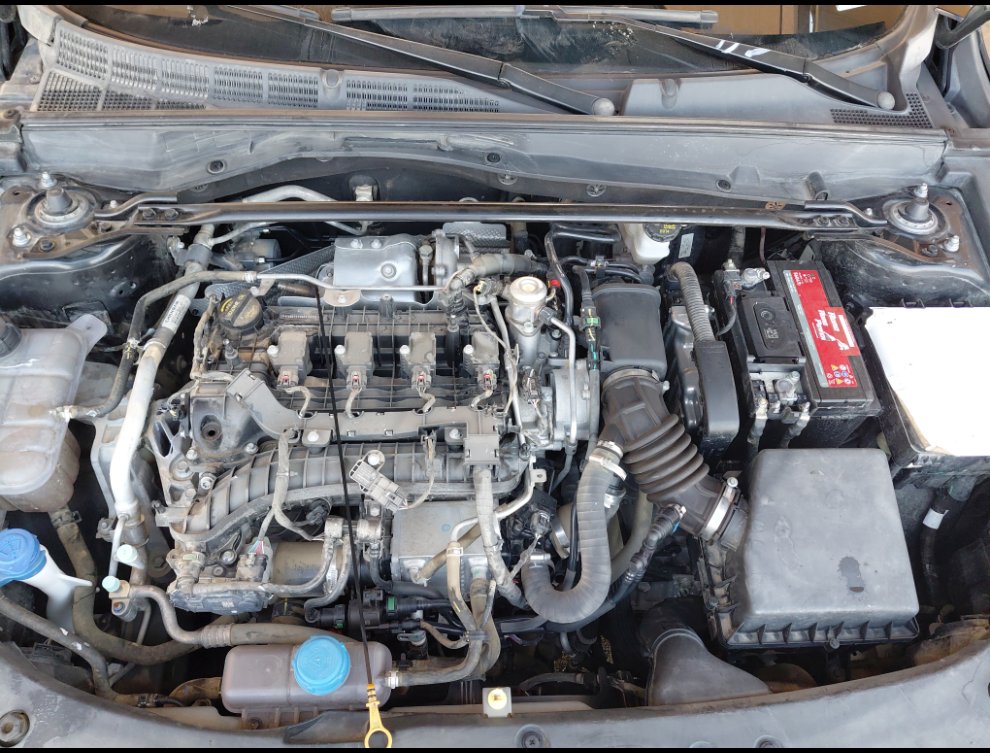 شانجان يو ني في لوكس رياضيه  2024 image