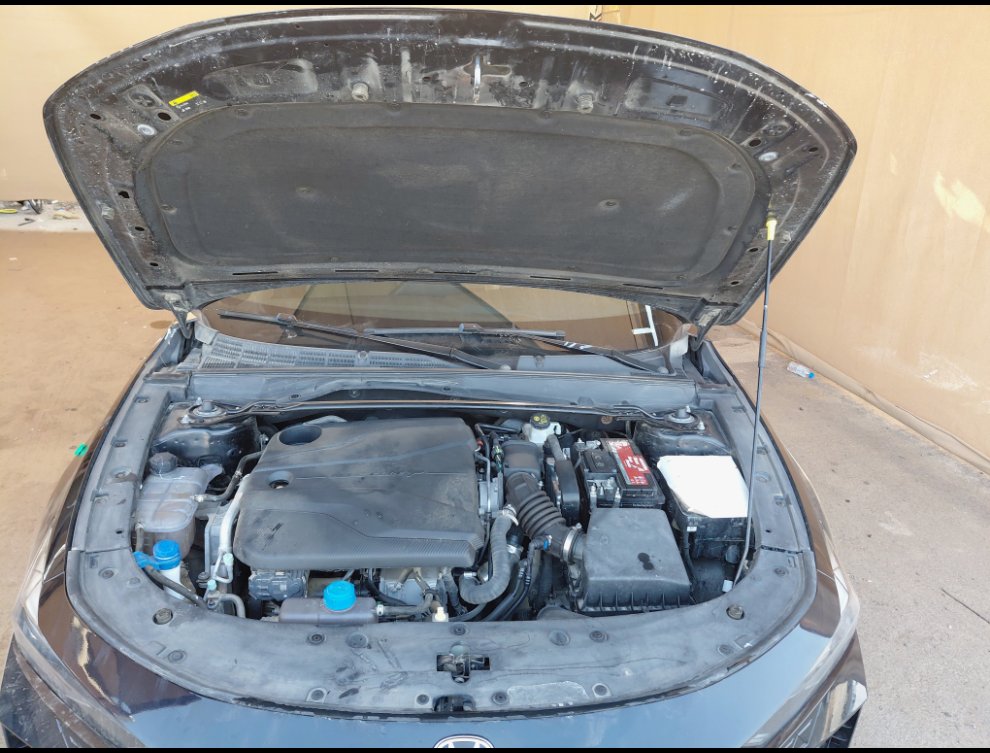 شانجان يو ني في لوكس رياضيه  2024 image