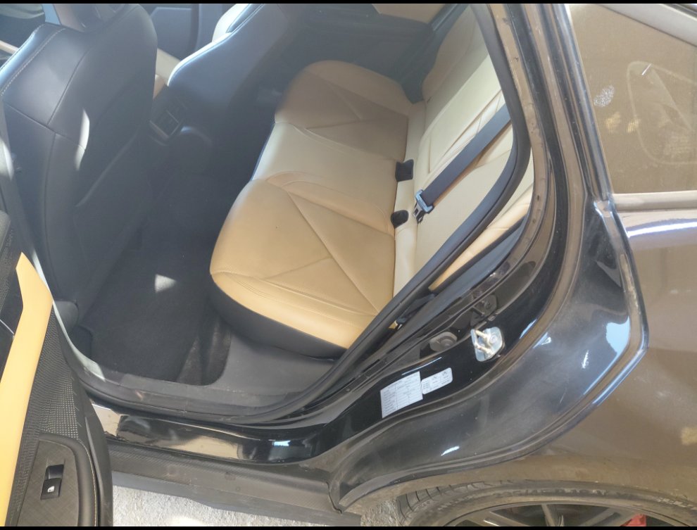 شانجان يو ني في لوكس رياضيه  2024 image