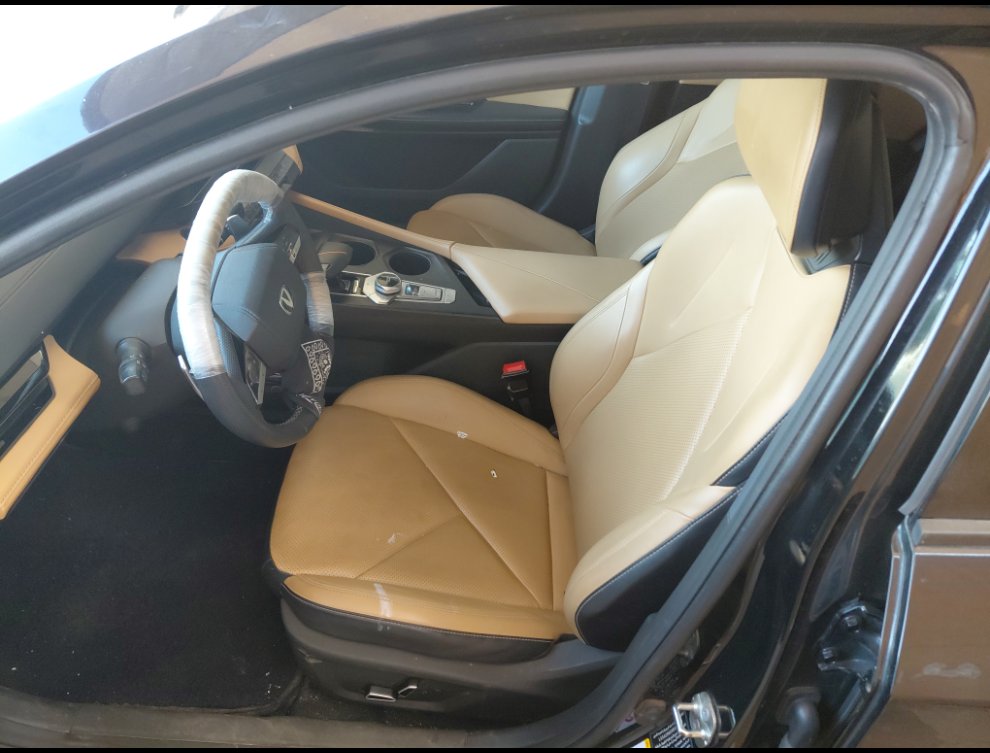 شانجان يو ني في لوكس رياضيه  2024 image