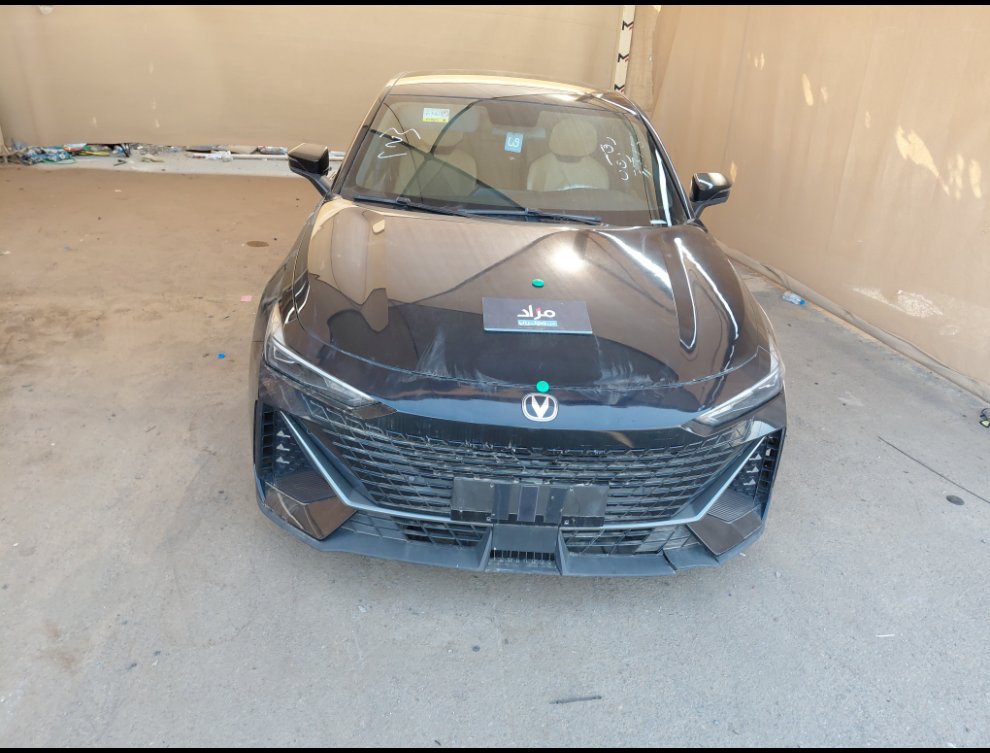 شانجان يو ني في لوكس رياضيه  2024