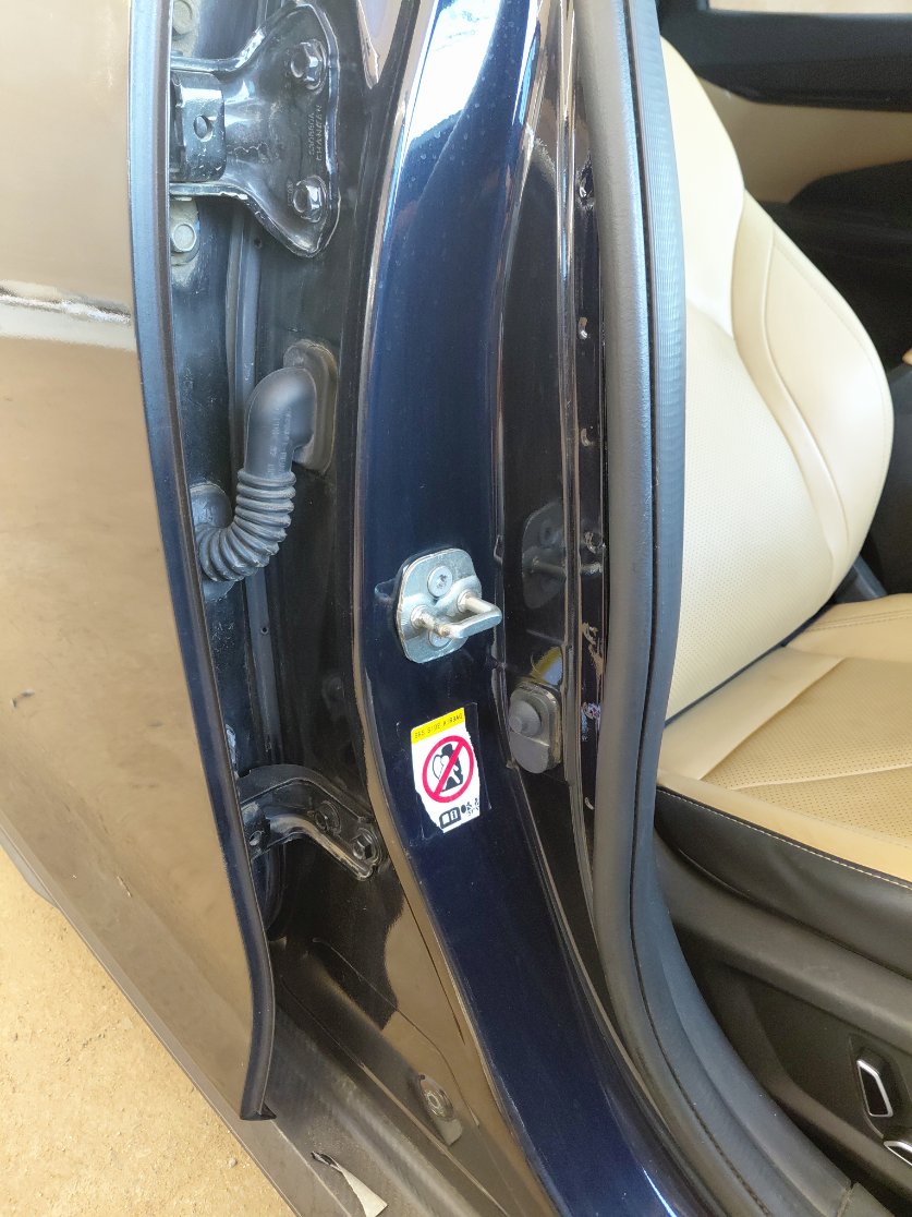 شانجان يو ني في لوكس رياضيه  2024 image