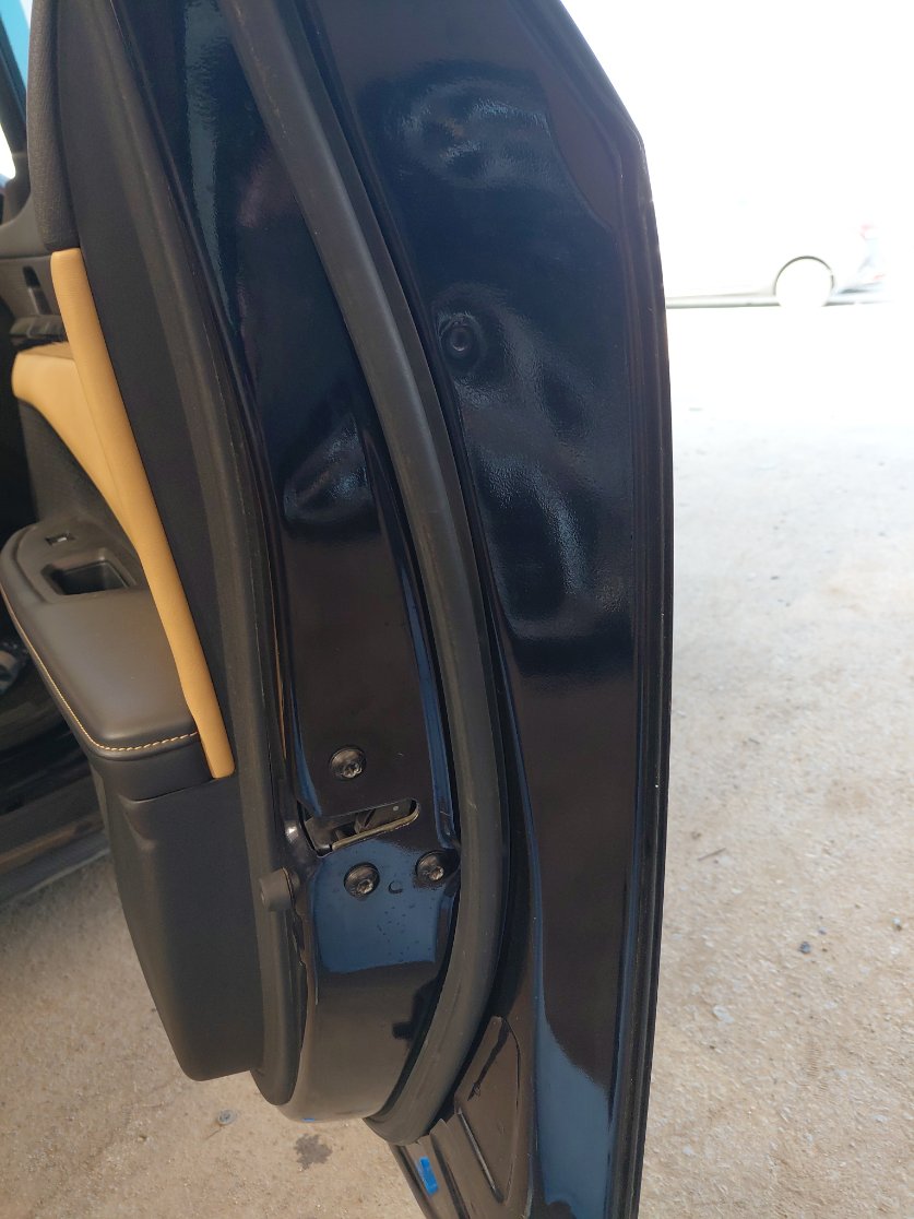 شانجان يو ني في لوكس رياضيه  2024 image