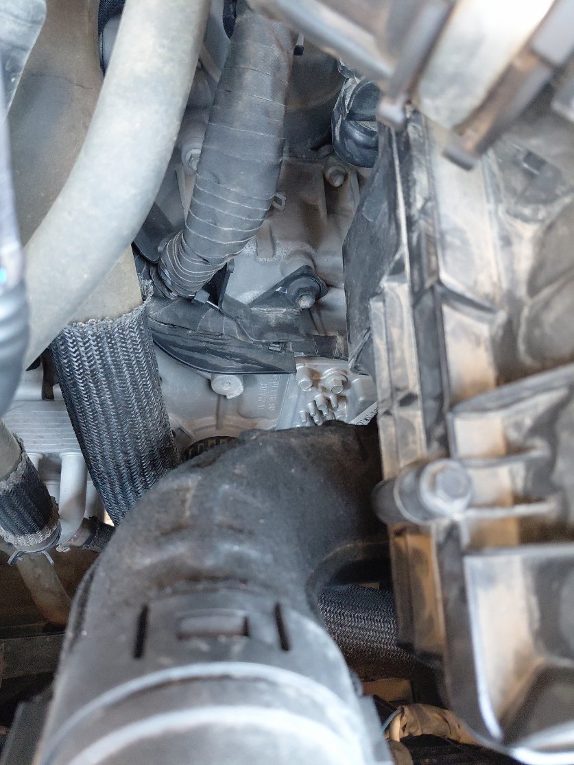 شانجان يو ني في لوكس رياضيه  2024 image