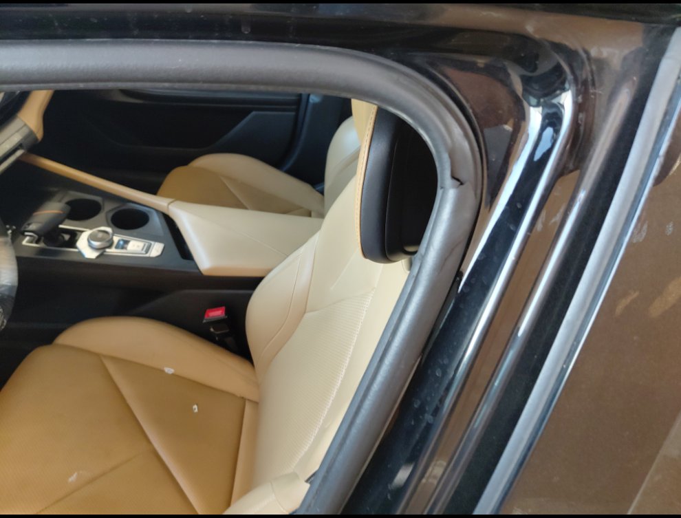 شانجان يو ني في لوكس رياضيه  2024 image