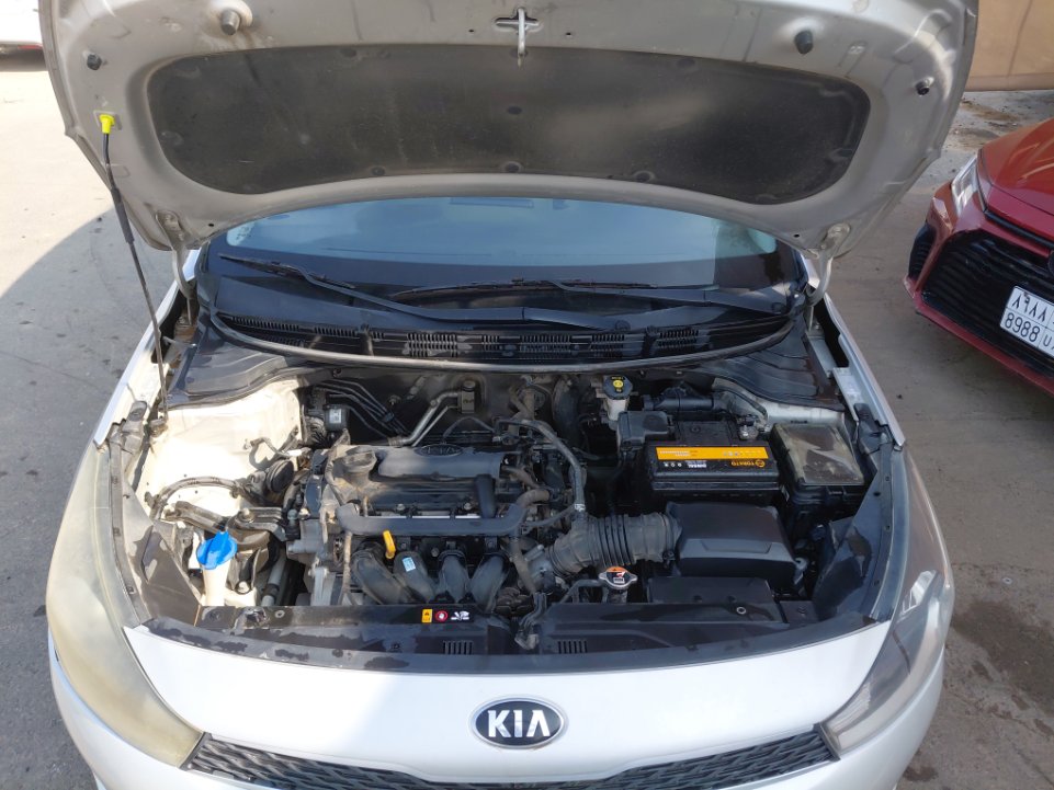 كيا ريو FLEET  2021 image