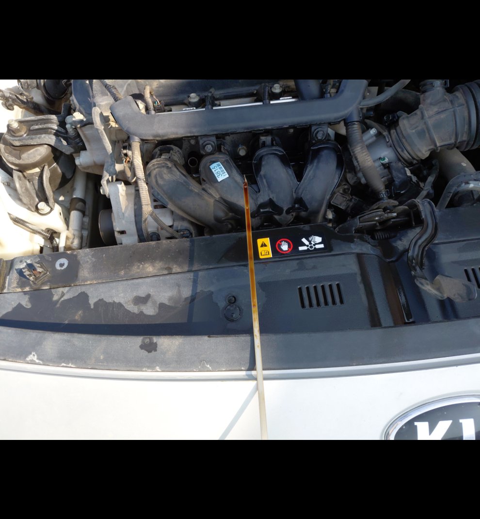 كيا ريو FLEET  2021 image