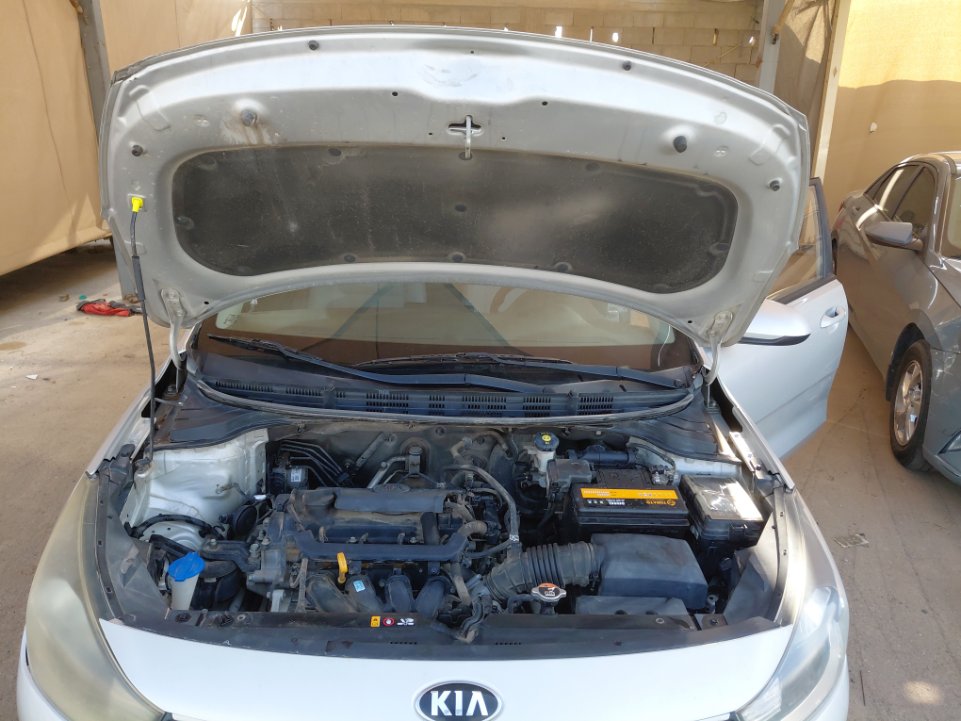 كيا ريو FLEET  2021 image