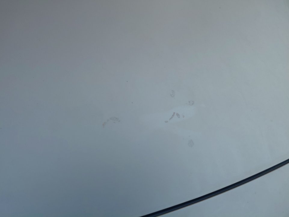 كيا ريو FLEET  2021 image