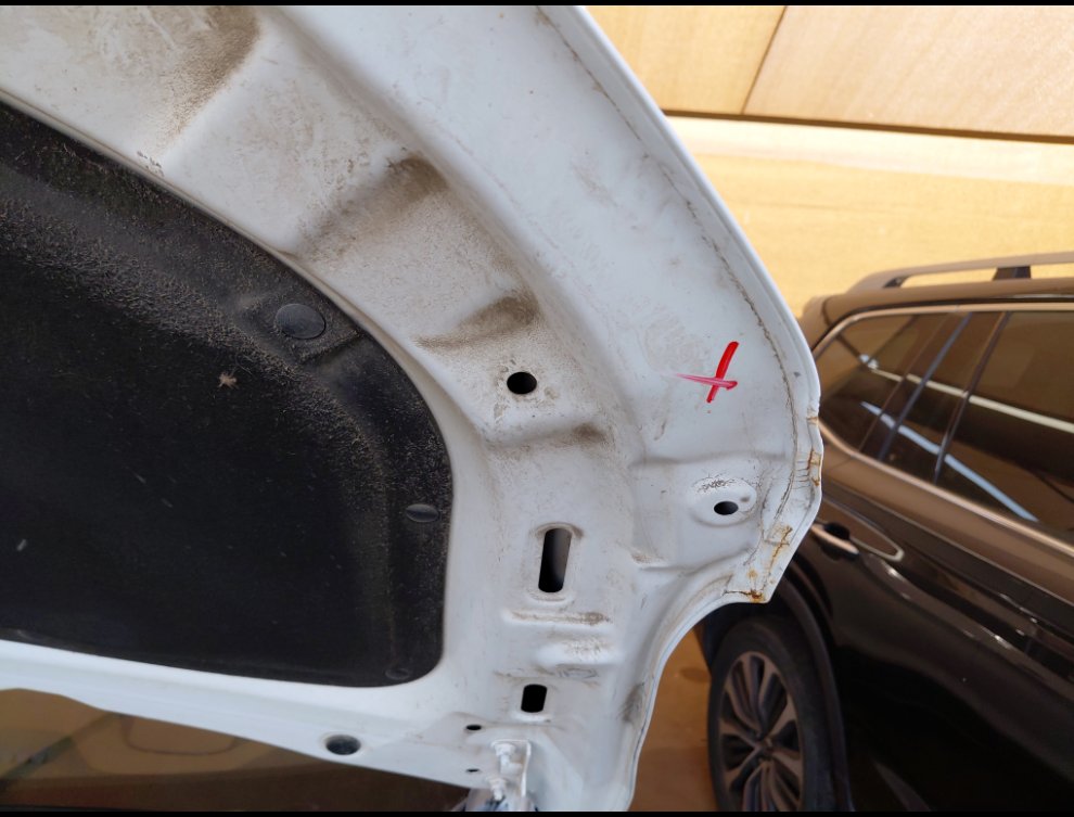 جيلي كول راي SPORT  2023 image