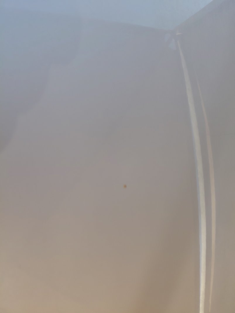 كيا ريو FLEET  2021 image