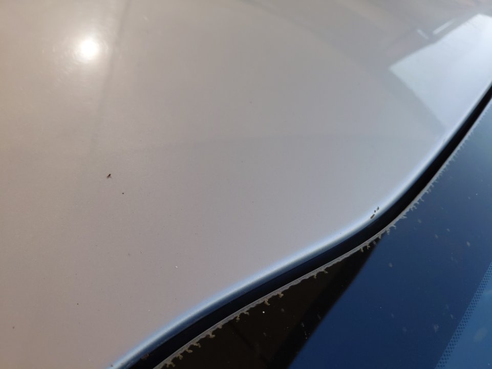 كيا ريو FLEET  2021 image