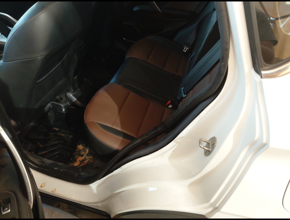 جيلي كول راي SPORT  2023 image