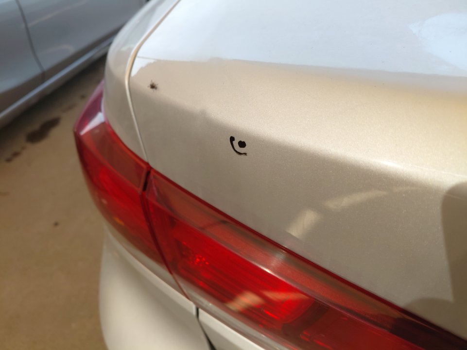 كيا ريو FLEET  2021 image