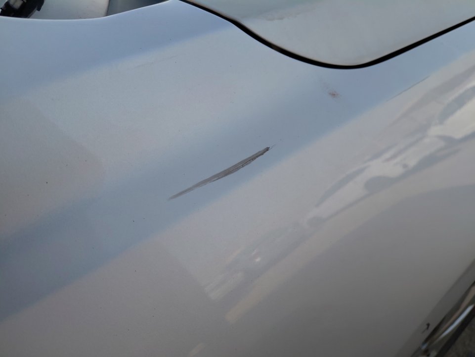 كيا ريو FLEET  2021 image