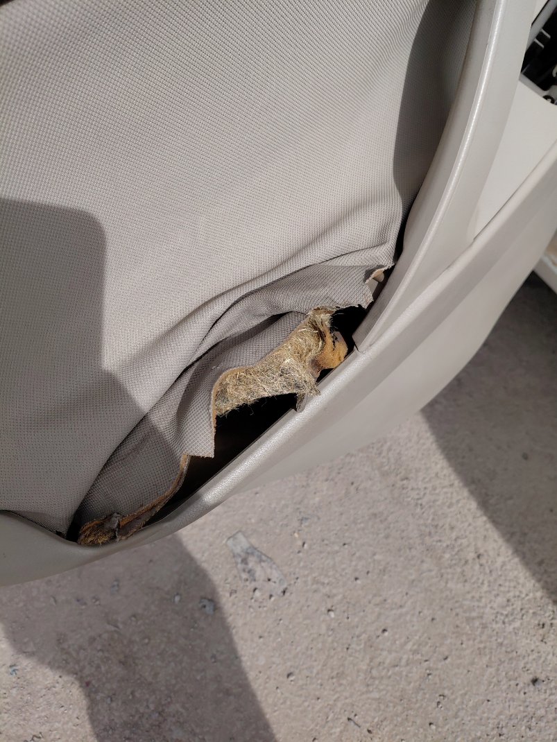 تويوتا كامري  2010 image